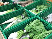 �؍؂��ĉ��܂̂̎ʐ^2