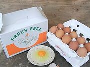 �������L�����@��������񂽂܂��������̎ʐ^2