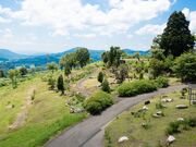 �z��n�[�u�������L���̎ʐ^3