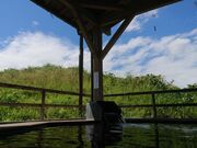 ������@�����炵�̓����܂݂̎ʐ^2