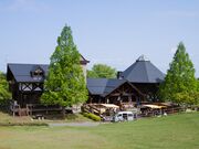 �c�㒬��������YOU�E�V�����h�̎ʐ^3