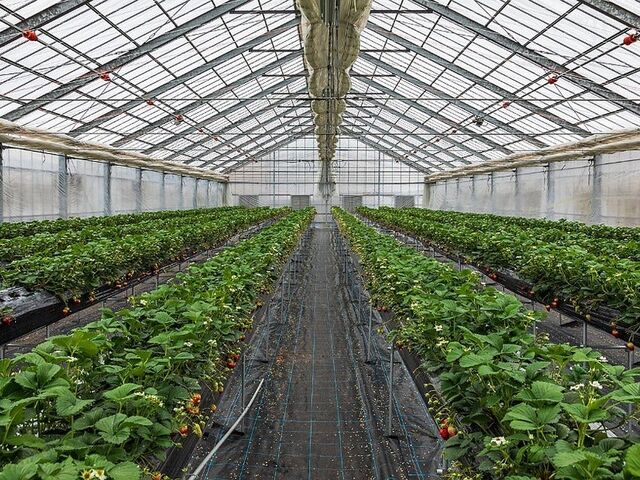 �����t�@�[���̎ʐ^3