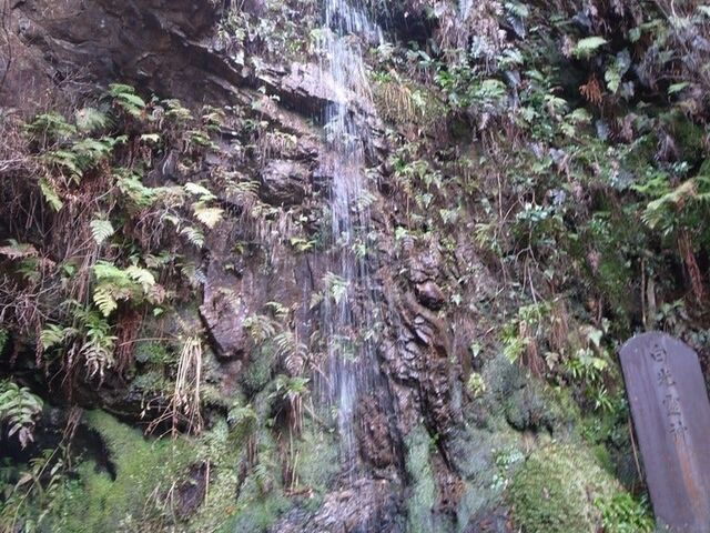 ���ԕs�����@���̉@�̑�