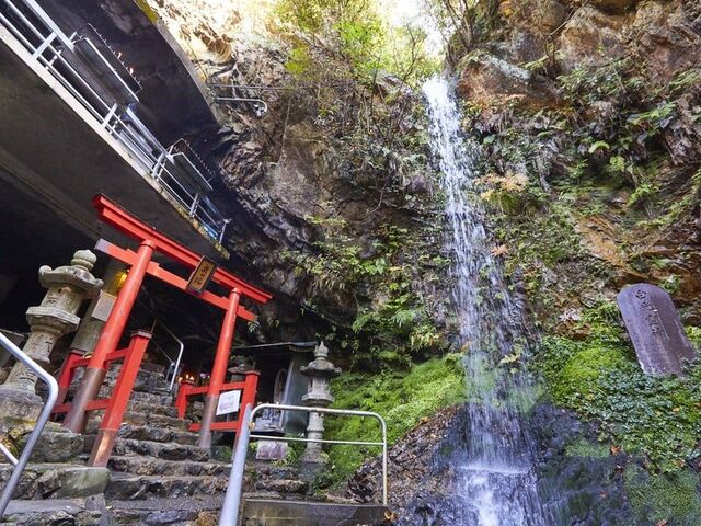 ���ԕs�����@���̉@�̑�̎ʐ^1