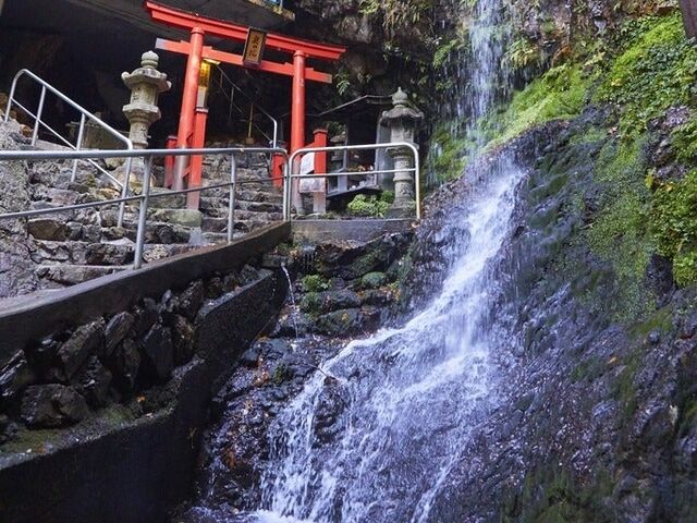 ���ԕs�����@���̉@�̑�