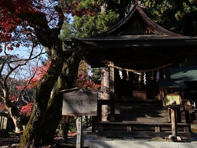 ���G����A���̕��̎ʐ^1