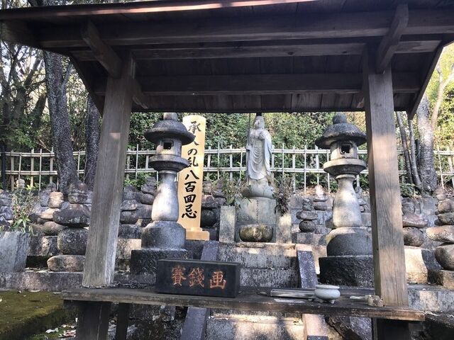 v̗틟{@iŊ@EOnsj̎ʐ^1