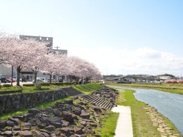 �ӂ邳�Ɛ�����̎ʐ^1