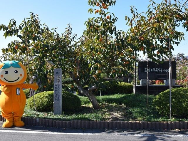富有柿発祥の地 富有柿の原木】アクセス・営業時間・料金情報