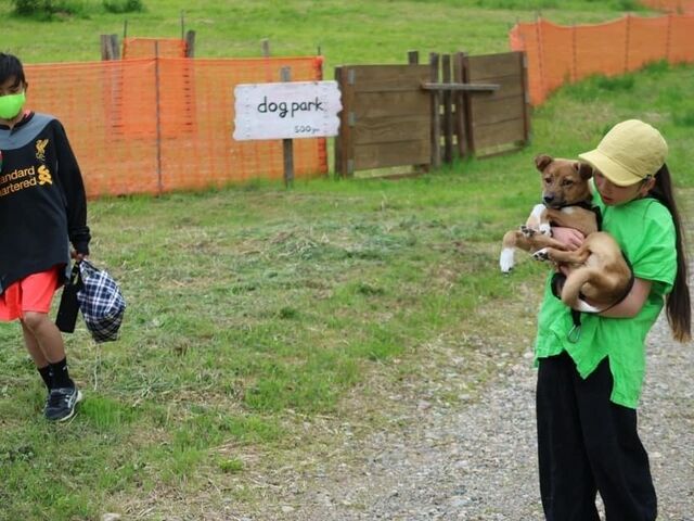 NOASOBI�L�����v��