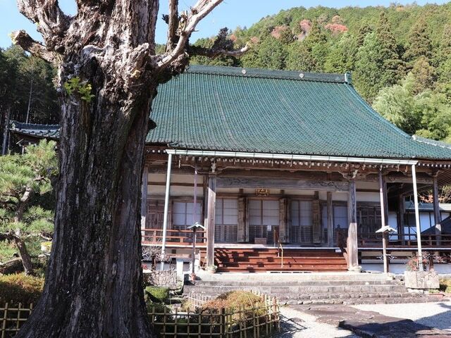 �O�����́u�S�̎�v�̎ʐ^1