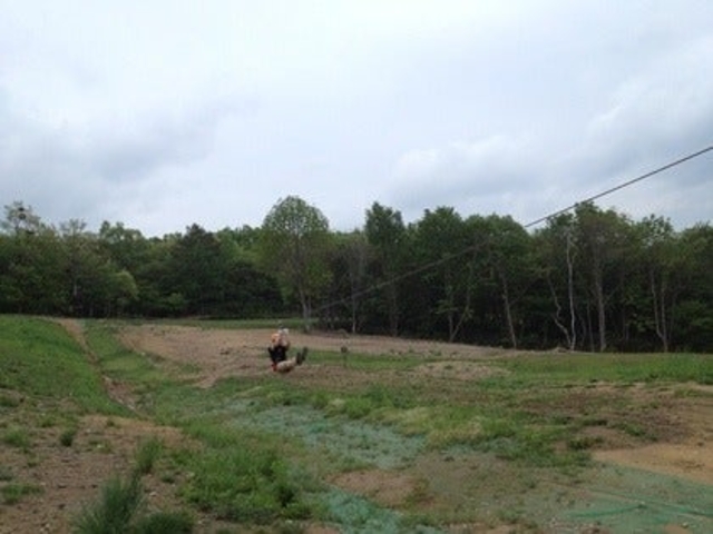 �W�b�v���C���A�h�x���`���[�Ђ邪�̂̎ʐ^1