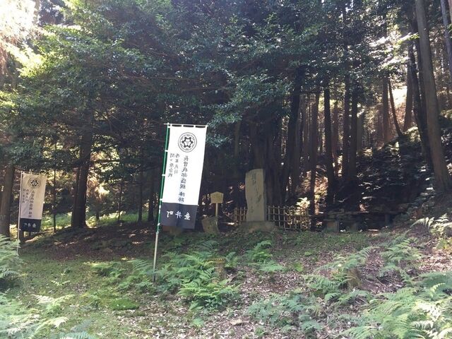 �A���̍�̎ʐ^1