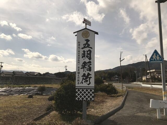 ���c��������A���̋�ǂ̖؁E�ܖ���א_��