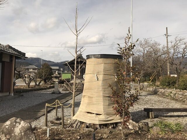 ���c��������A���̋�ǂ̖؁E�ܖ���א_��