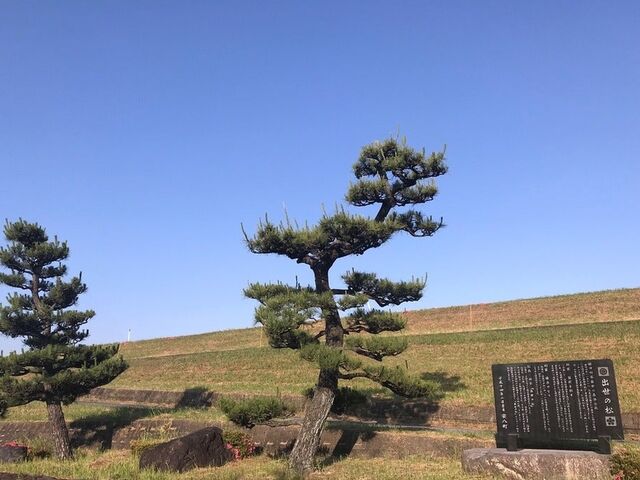 �X���̍����ՂƏo���̏��i���ƂƂ܂j�̎ʐ^1