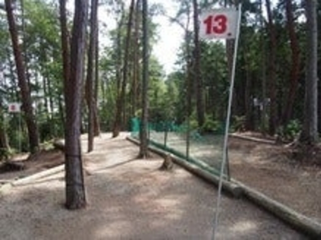 ����}���b�g�S���t��