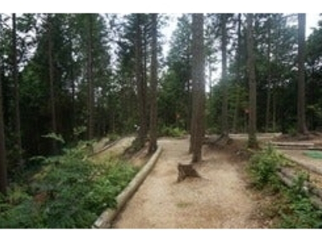 ����}���b�g�S���t��