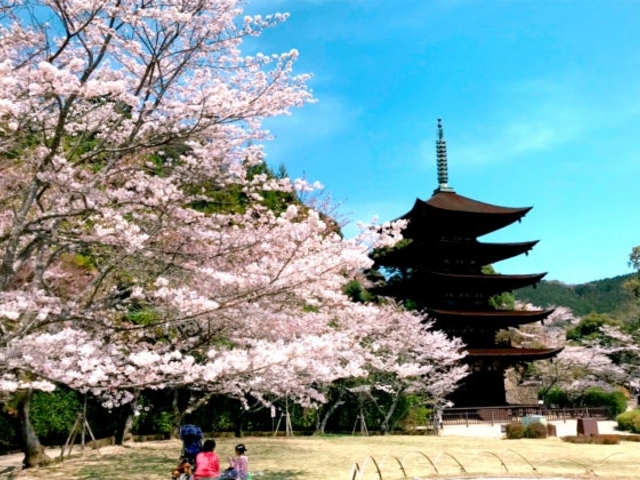 �ڗ������܏d���̎ʐ^2