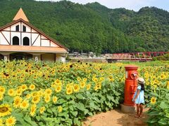 �F���Ђ܂��̗��̎ʐ^1