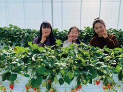 �ΐ삢�����_���̎ʐ^1