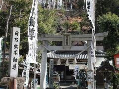 ���T�o�s�����̎ʐ^1