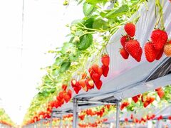 �̌��_���u�݂Ƃ��v�̎ʐ^1