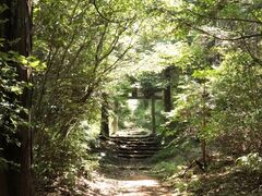 川辺町御嶽山(権現山)の写真1
