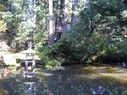 �W�`���@��{�@�̎ʐ^3