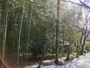 ���������~�Ձ@�i�ԍ�{�^�����j�̎ʐ^3