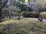 ���������~�Ձ@�i�ԍ�{�^�����j�̎ʐ^4