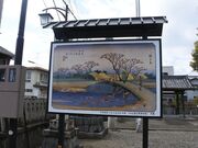 �ԍ�`�Ղ̎ʐ^3