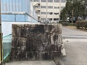 ������Ղ̎ʐ^4