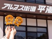 �A���v�X�X�������@�����o�X�^�[�~�i���̎ʐ^3