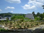 �吳���}���ق̎ʐ^7