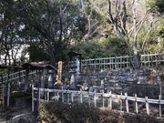 v̗틟{@iŊ@EOnsj̎ʐ^2