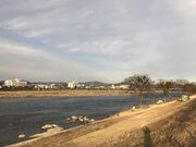 ���v�̗��@���˂̓n���ՁE�y�c�̓n���̎ʐ^2