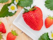 �̌��_���u�݂Ƃ��v�̎ʐ^3