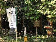 �ї��G���w�Ղ̎ʐ^2