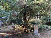 �A���̍�̎ʐ^2