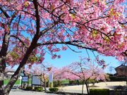 �鍳���@�鍳���r�`���䂩��̒n�̎ʐ^2