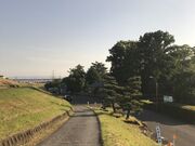 X̍ՂƏȍiƂƂ܂j̎ʐ^3