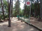 ����}���b�g�S���t��̎ʐ^4