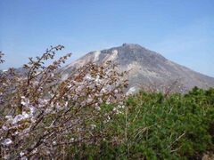 那須岳　日の出平のミネザクラの写真1