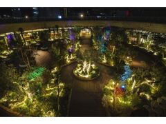 SOL�fs Christmas�̎ʐ^1