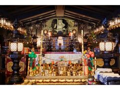 �K�J�s�������@���ʎQ�q�̎ʐ^1