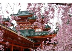 �����_�{�@�ύ�����̎ʐ^1