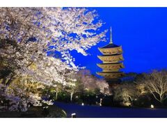 ��̓��ʌ��J�@�����@������C�g�A�b�v�i�����A�u����ԓ��ʔq�ρj�̎ʐ^1