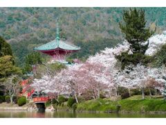 ��o���E���r�̍��̎ʐ^1