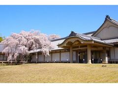 ��펛�@���ف@�t�����ʓW�̎ʐ^1